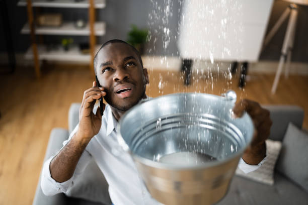 Best Ceiling water damage repair  in Madison Heights, VA