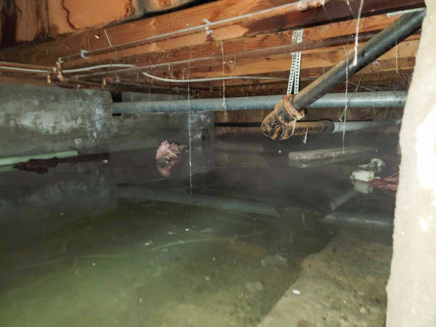  Madison Heights, VA Water damage restoration Pros