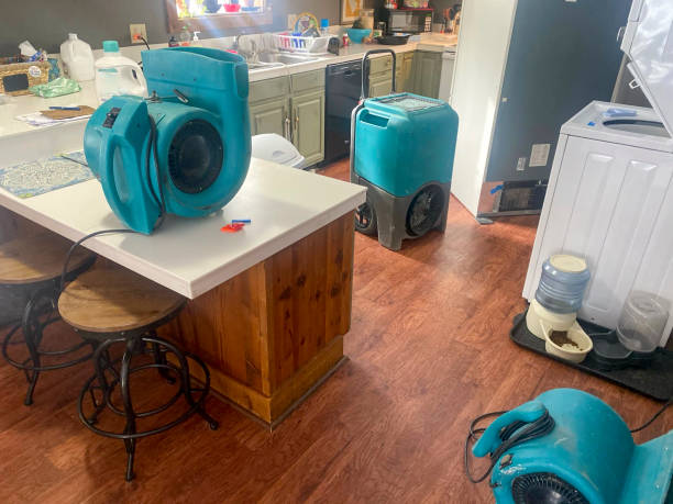 Local water damage restoration in VA