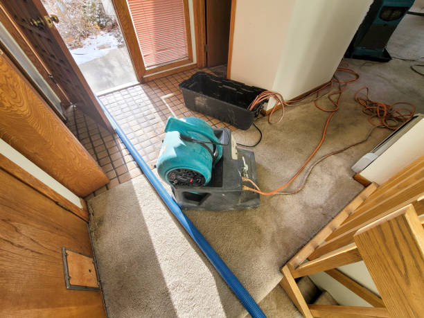 Best Water damage cleanup near me  in Madison Heights, VA