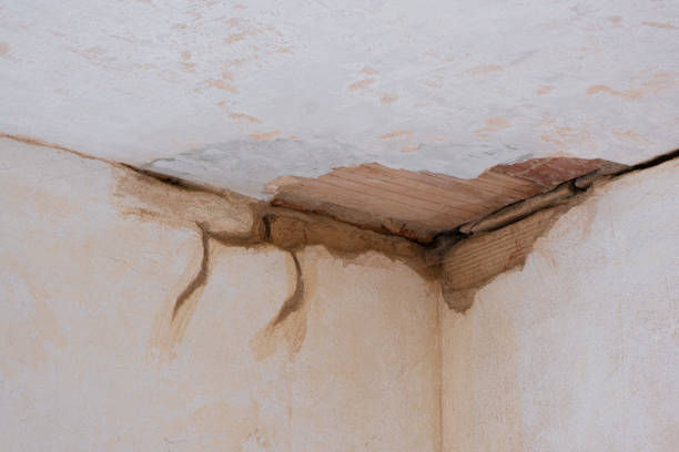 Best Flood damage cleanup  in Madison Heights, VA