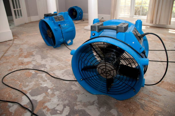 Best Water damage restoration near me  in Madison Heights, VA