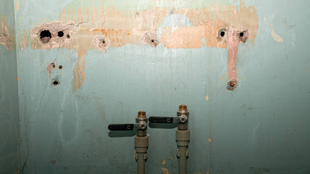 Best Emergency water damage restoration  in Madison Heights, VA