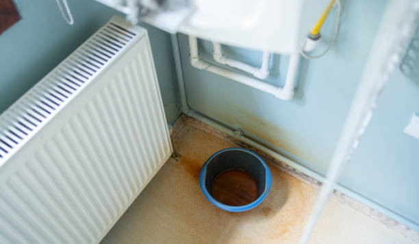 Best Local water damage restoration  in Madison Heights, VA