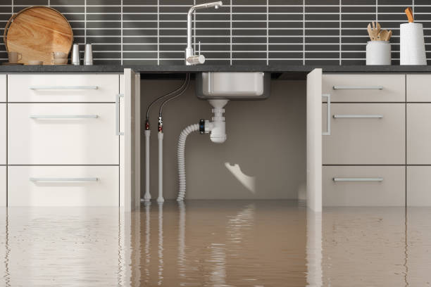 Best Fire Damage Restoration  in Madison Heights, VA
