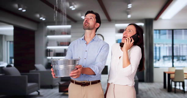 Best Professional water damage repair  in Madison Heights, VA