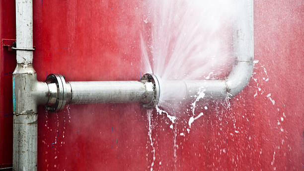 Best Sewage cleanup and water damage restoration  in Madison Heights, VA