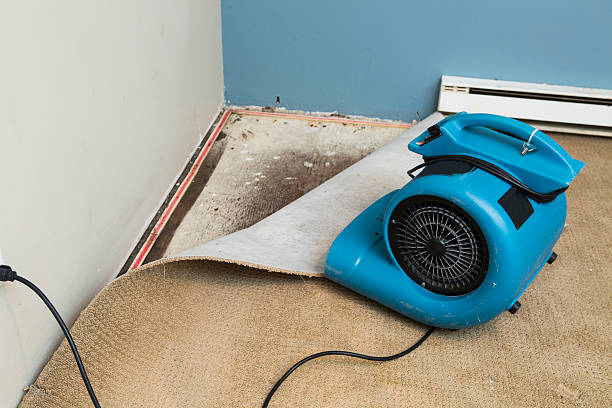Water damage restoration process in VA