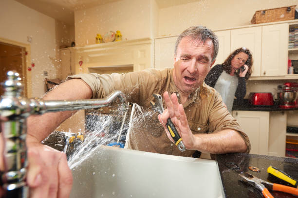 Best Water damage restoration insurance claims  in Madison Heights, VA